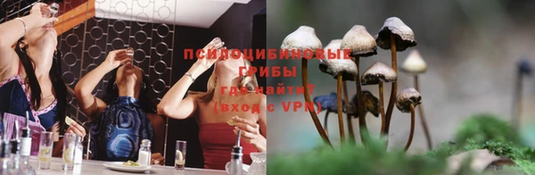 марки nbome Алексеевка