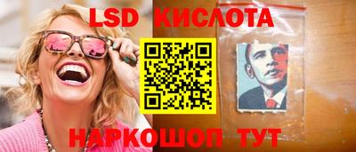 твердый Гусев
