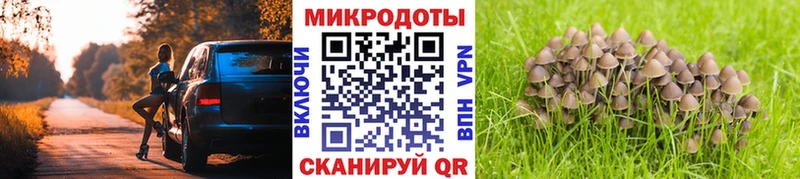 Псилоцибиновые грибы MAGIC MUSHROOMS  где купить наркотик  blacksprut ССЫЛКА  Люберцы 