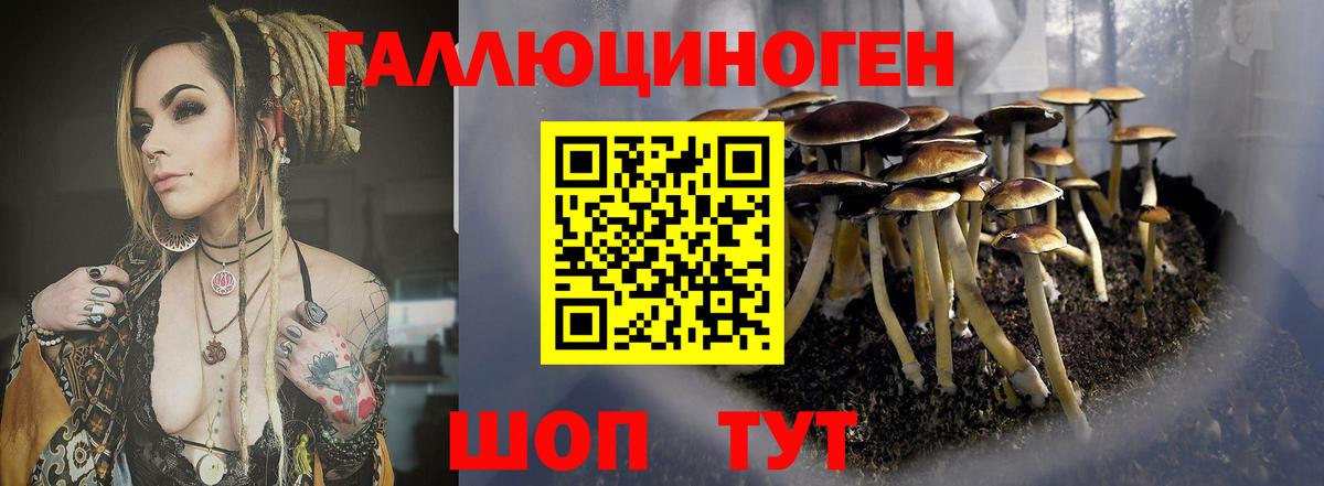 Люберцы  Галлюциногенные грибы мухоморы  Вход с VPN 
